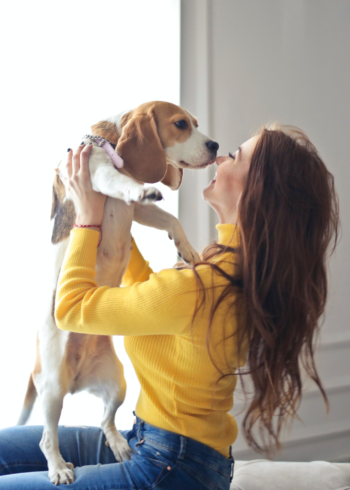 The 5 Best Dog Recovery Suits After Neutering