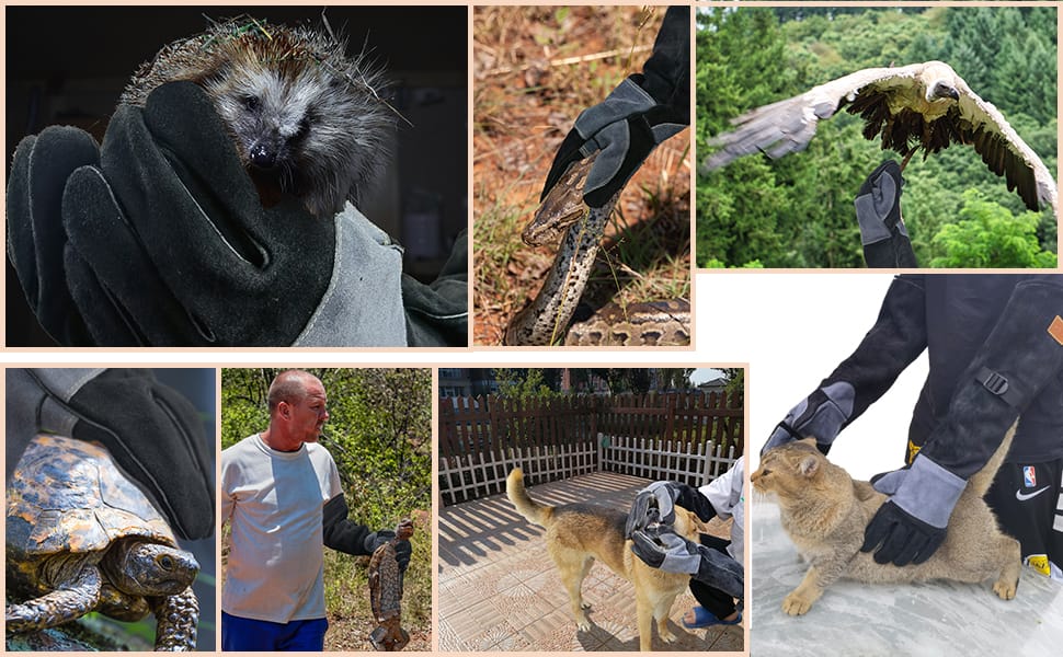 Protect Yourself with Strong Animal Handling Gloves Available on Amazon