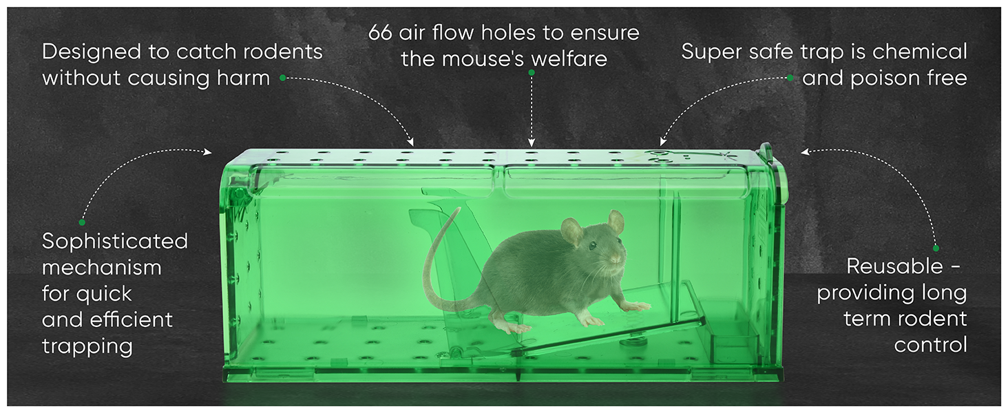 Effective and Humane Mouse Trapping: Your Guide to Amazon's Best Solutions