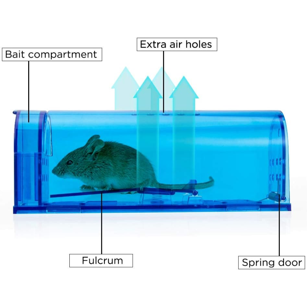 Effective and Humane Mouse Trapping: Your Guide to Amazon's Best Solutions