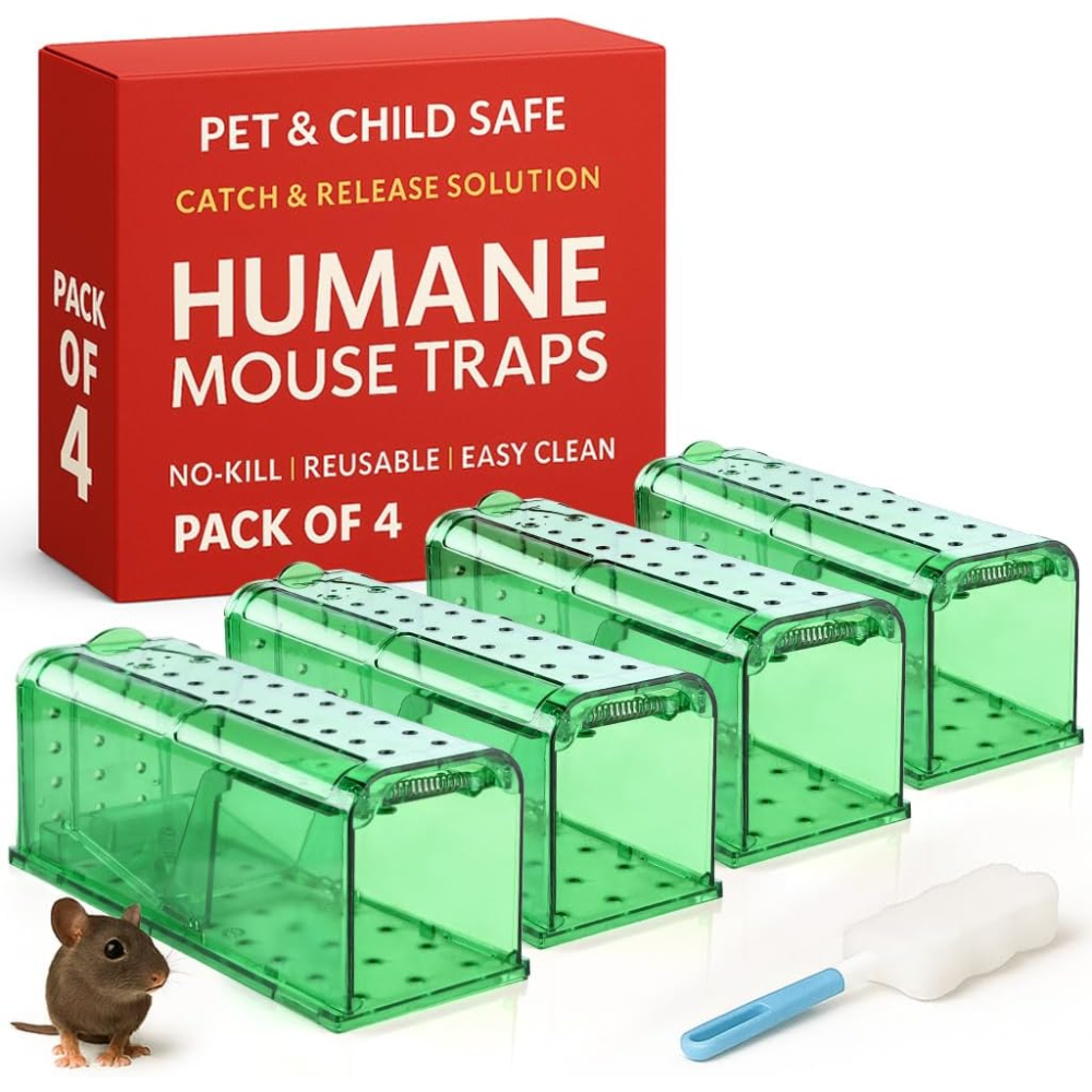 Effective and Humane Mouse Trapping: Your Guide to Amazon's Best Solutions