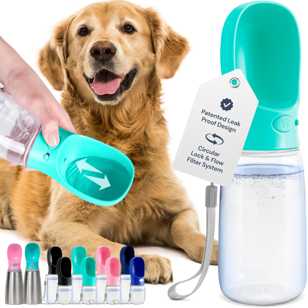 Top Tips to Choose the Perfect Leak Proof Bottle for Your Dog