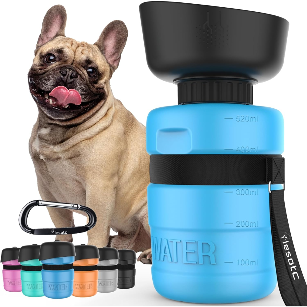 Top Tips to Choose the Perfect Leak Proof Bottle for Your Dog
