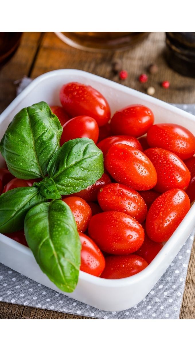 Best Fertilizer for Tomatoes
