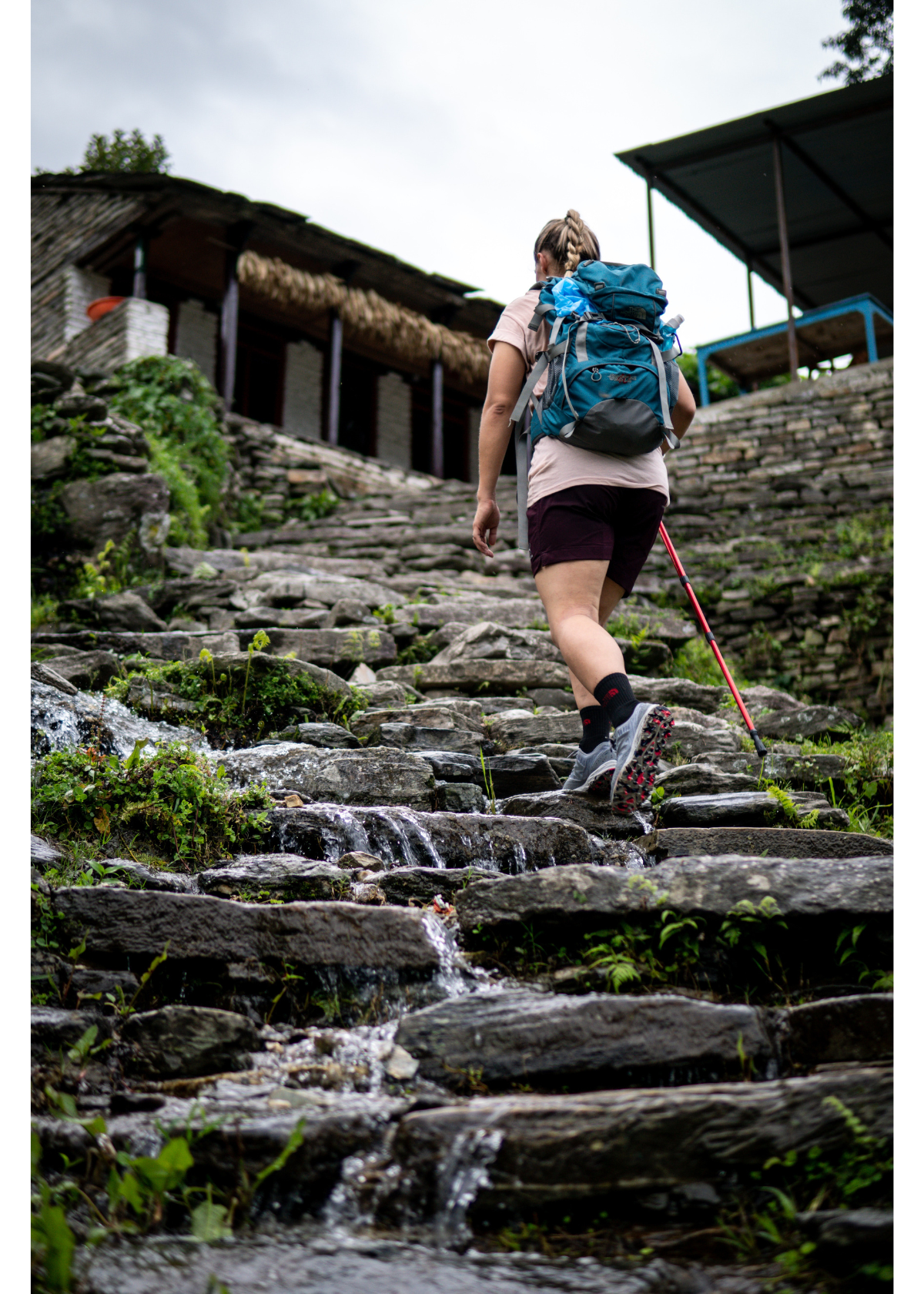 The Most Durable and Lightweight Trekking Poles for Your Next Trek