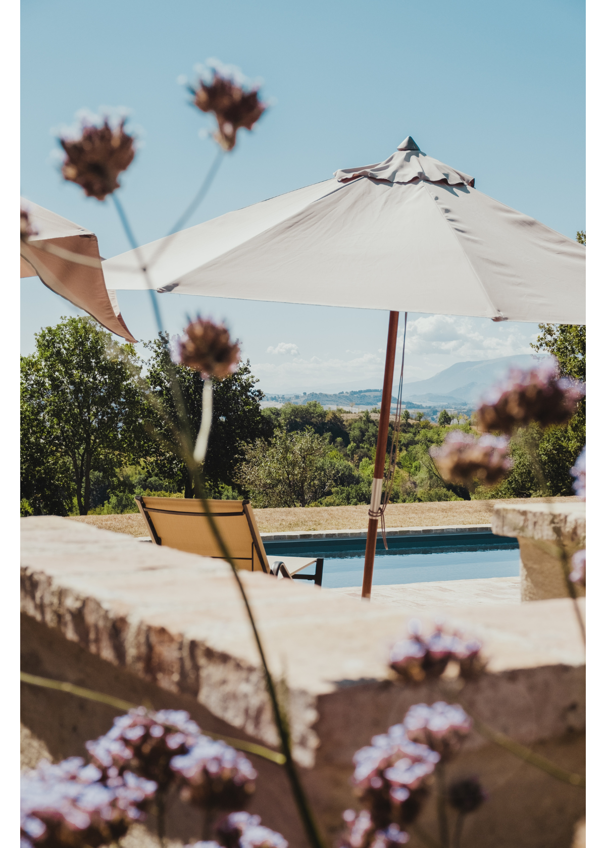 The Ultimate Guide to Choosing the Perfect Patio Umbrella for Your Outdoor Space