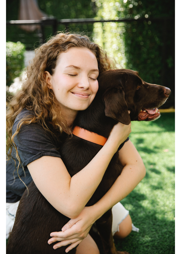 The 5 Best Dog Skin and Coat Supplements to Keep Your Pup Healthy and Happy